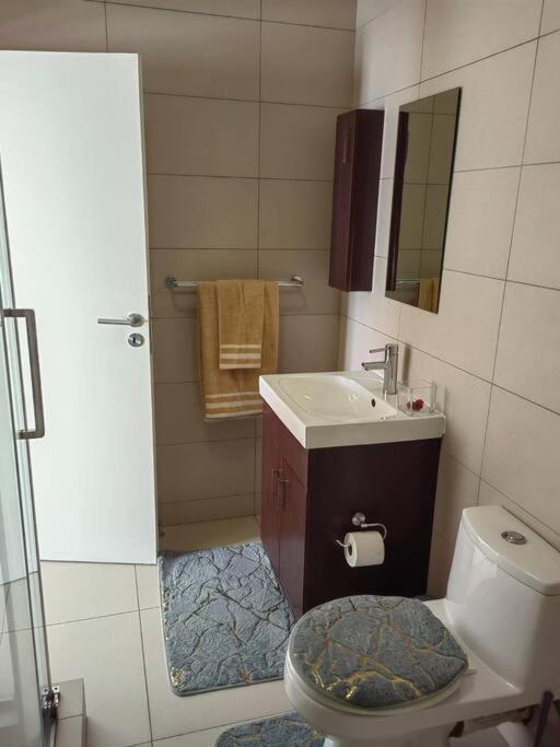 Classy And Cosy Apt - Dainfern Сандтон Екстер'єр фото